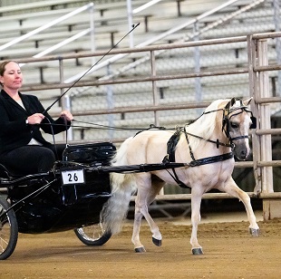 Daystar RM Classic 25 W.jpg